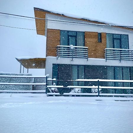 Cottage Marta Sadgeri Borjomi Εξωτερικό φωτογραφία